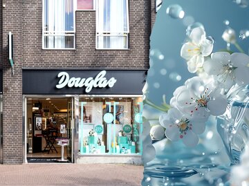 Collage Douglas Logo & Früglingsparfum | © Adobestock/Björn Wylezich  Adobestock/Shipons Creative/KI generiert