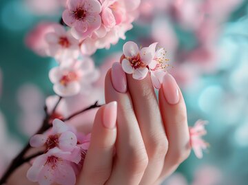 Hand mit rosa lackierten Nägeln hält Zweig mit Kirschblüten | © AdobeStock/Mars0hod