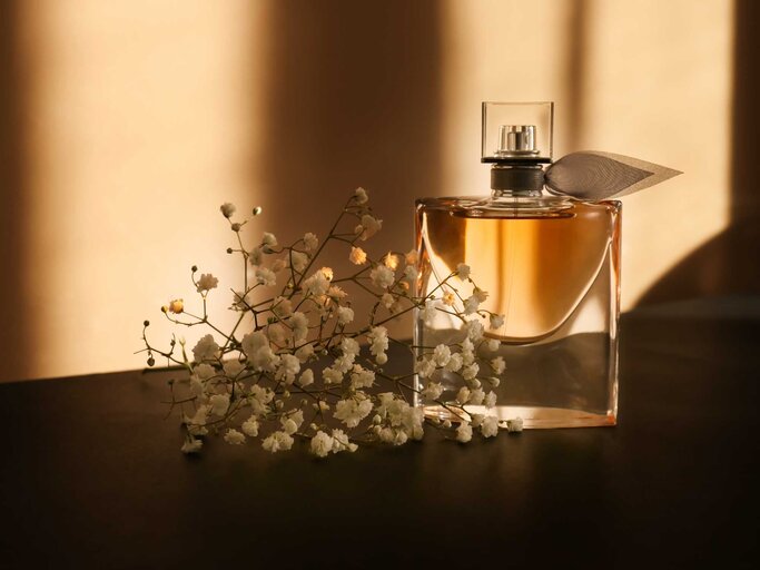 Parfum Flakon und ein kleiner Ast mit Blumen liegen auf einem Tisch | © Adobe Stock/Pixel-Shot