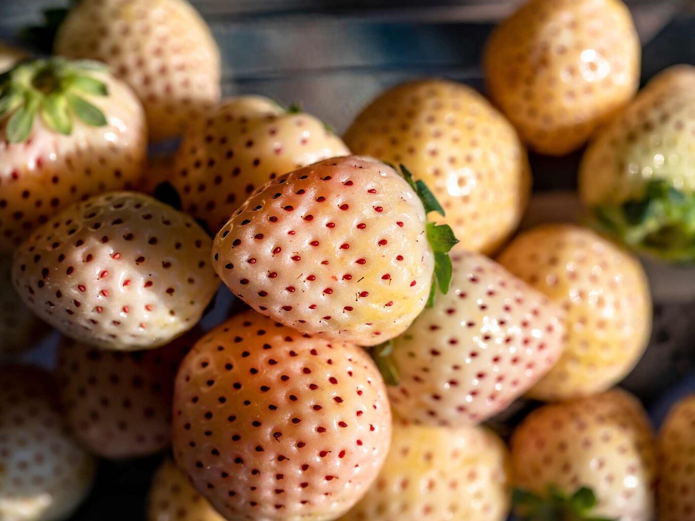 Weiße Erdbeeren: Warum du sie jetzt immer öfter im Supermarkt findest