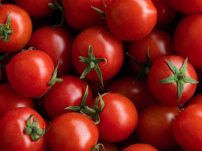 Tomaten | © Getty Images/Aleksandr Zubkov