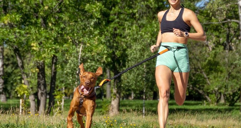 Person mit Hund beim Canicross | © Getty Images/Maria Levkina