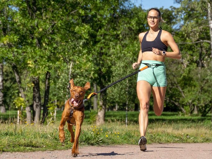 Person mit Hund beim Canicross | © Getty Images/Maria Levkina