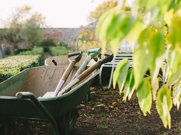 Blick auf einen Garten mit einer Schubkarre und anderem Garten-Werkzeug | © Getty Images/Henry Donald