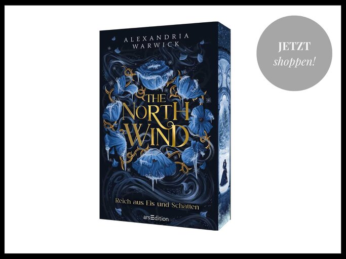 The North Wind von Alexandria Warwick, Buchcover mit Farbschnitt | © Amazon