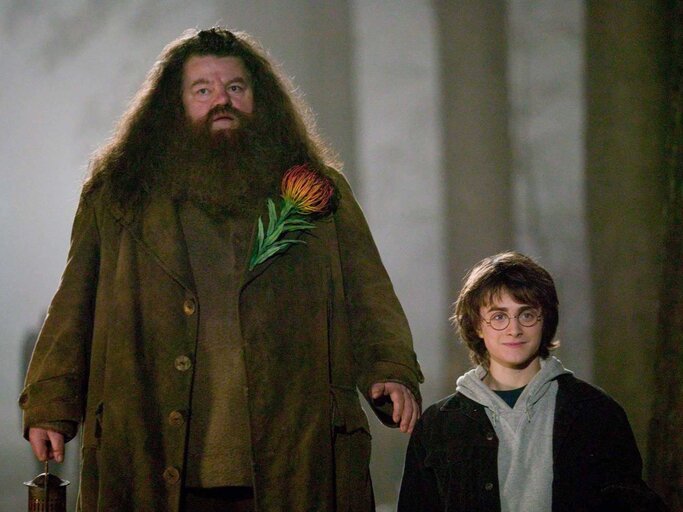 Hermine, Harry und Ron in Harry Potter | © IMAGO / Capital Pictures