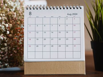 Kalender August 2024 vor Pflanzen | © Getty Images/Constantine Johnny