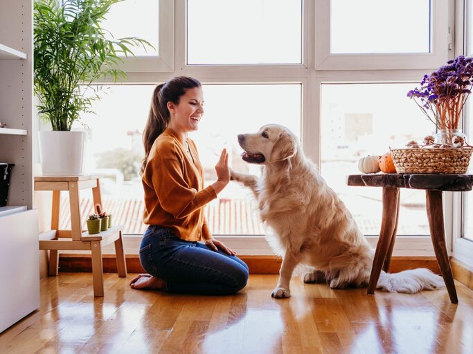 Person mit Hund der High Five gibt | © Getty Images/Eva Blanco