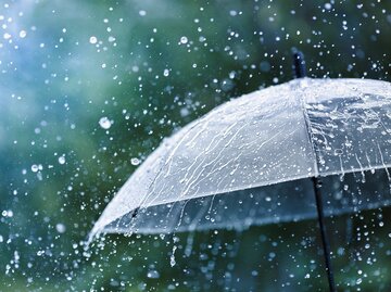 Es regnet auf einen Regenschirm. | © Adobe Stock/juliasudnitskaya