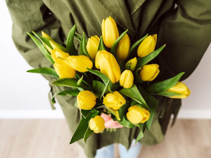 Gelbe Tulpen | © gettyimages.de / Jacqueline Anders