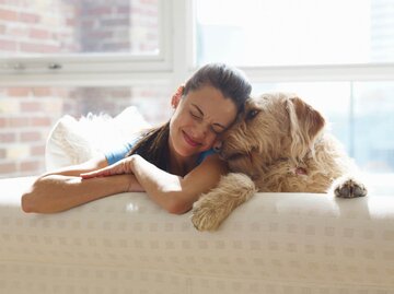 Person mit Hund auf Sofa | © Getty Images/Dann Tardif