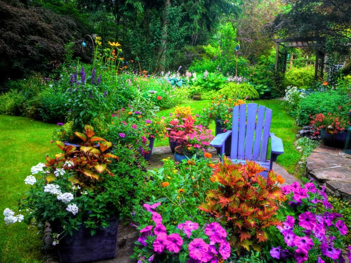Schöner grüner Garten mit blühenden Pflanzen | © Getty Images/Darrell Gulin