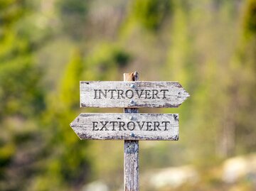 introvertiert extrovertiert Text geschnitzt auf hölzernen Wegweiser im Freien in der Natur. Grüner weicher Wald Bokeh im Hintergrund. | © Adobe Stock/Jon Anders Wiken