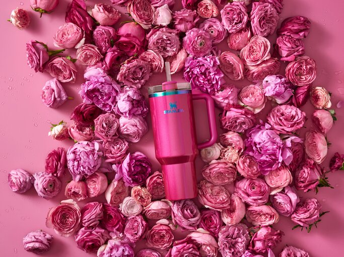 Stanley Becher in der Farbe Berry Truffle umgeben von Rosen in Rosa und Pink | © PR