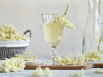 Ein Glas mit Holunderblütensirup und einem frischen Zweig Holunder | © Getty Images/Madeleine_Steinbach