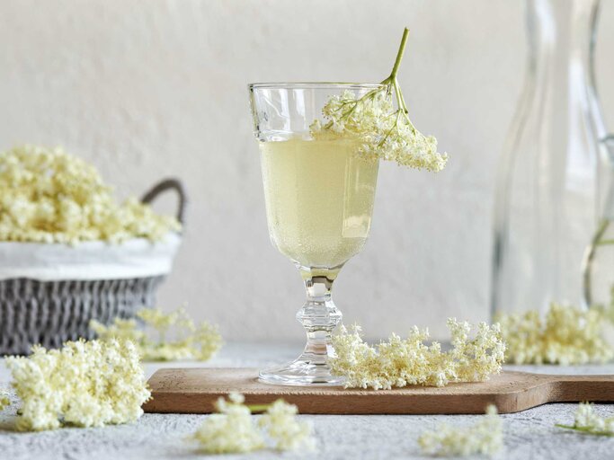 Ein Glas mit Holunderblütensirup und einem frischen Zweig Holunder | © Getty Images/Madeleine_Steinbach