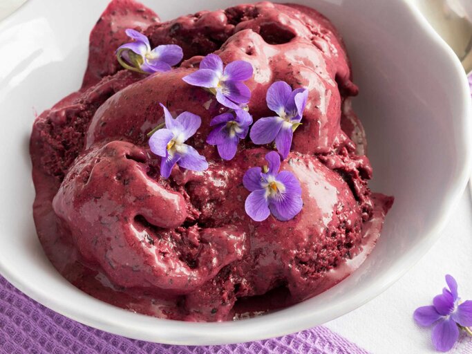 Skyr Eis mit Blaubeeren | © Getty Images/Madeleine_Steinbach