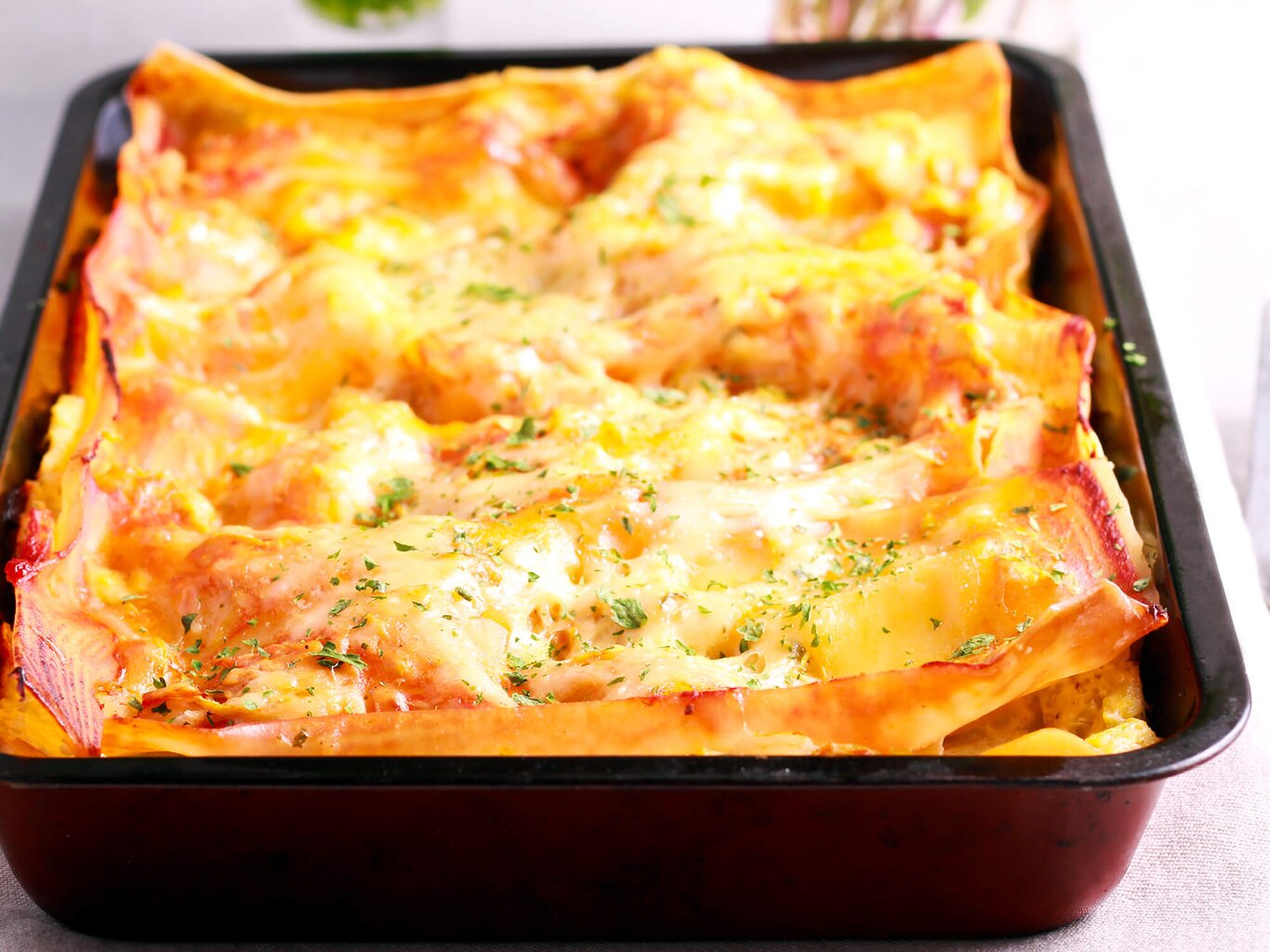 Herbst-Rezept: Kürbis-Lasagne für Genießer