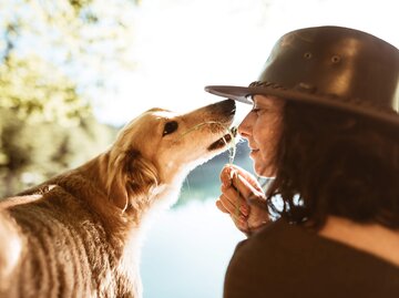 Wie man hundefreundlich verreist – plus praktische Tipps rund um Anreise, Unterbringung und Tierpension. | © iStock | franckreporter