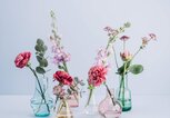 Vasen einfach säubern | © iStock | knape
