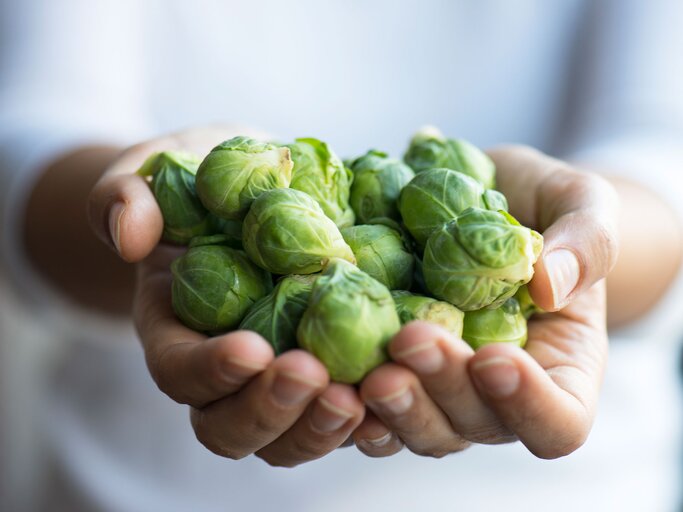 Frauen Hand hält Rosenkohl | © iStock | solidcolours