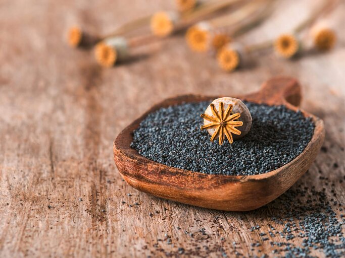 Frische Mohnsamen mit getrockneten Mohnköpfen auf altem Holzhintergrund.  | © iStock.com / Oksana_Schmidt