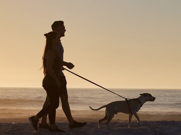 Paar geht mit Hund am Strand spazieren | © PeopleImages.com - Yuri A/Shutterstock.com
