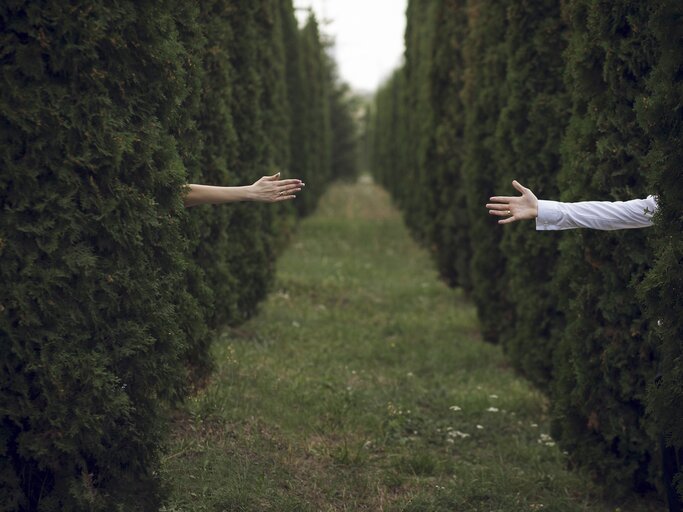 Ein Mann und eine Frau strecken jeweils ihre Hände aus einer Hecke | © GettyImages/	Dmitriy Bilous